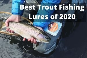 Best Trout Fishing Lures of 2020 thumbnail 300 x 200