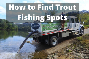 How to Find Trout Fishing Spots