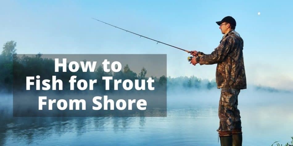 How to Fish for Trout from Shore