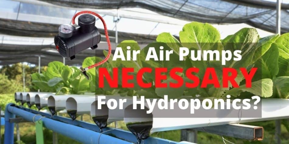 Are Air Pumps Necessary For Hydroponics