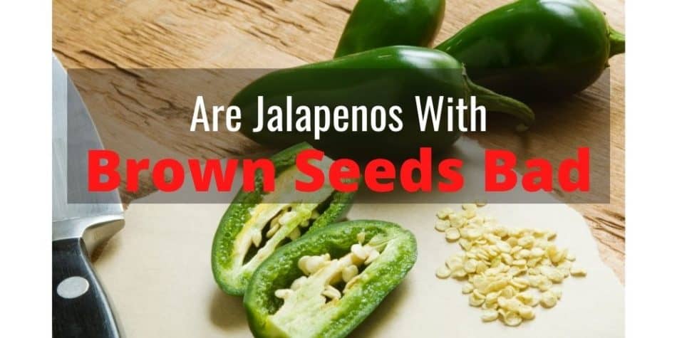 Are Jalapenos with Brown Seeds Bad
