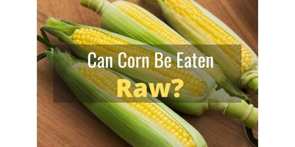 Can Corn Be Eaten Raw