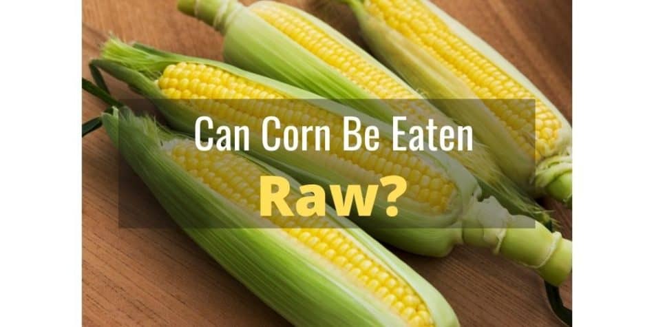 Can Corn Be Eaten Raw? (Read This First)