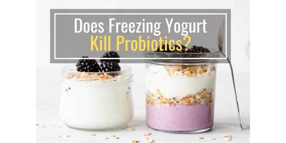 Does Freezing Yogurt Kill Probiotics