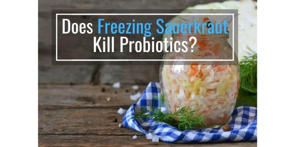 Does Freezing Sauerkraut Kill Probiotics