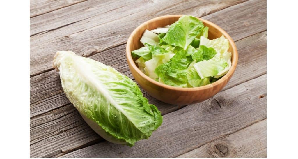 romaine lettuce chopped in a bowl ready for freezing