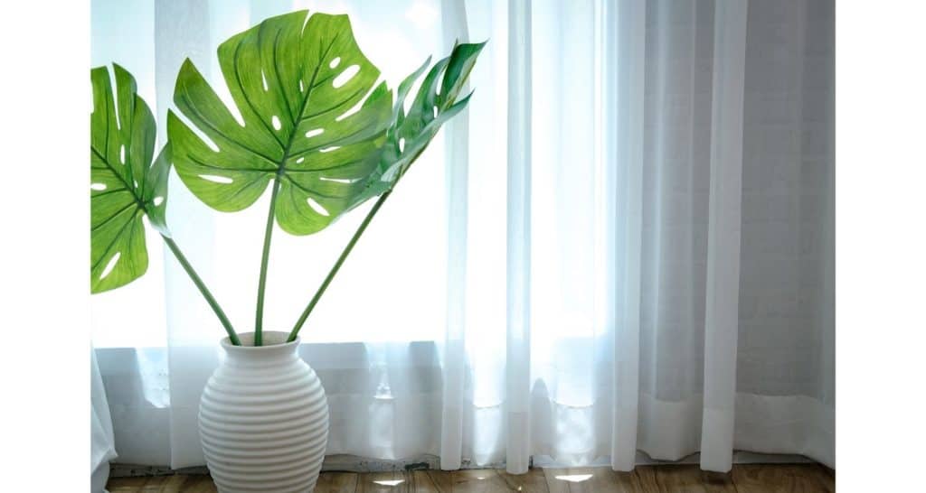 Sheer curtains for indoor house plants