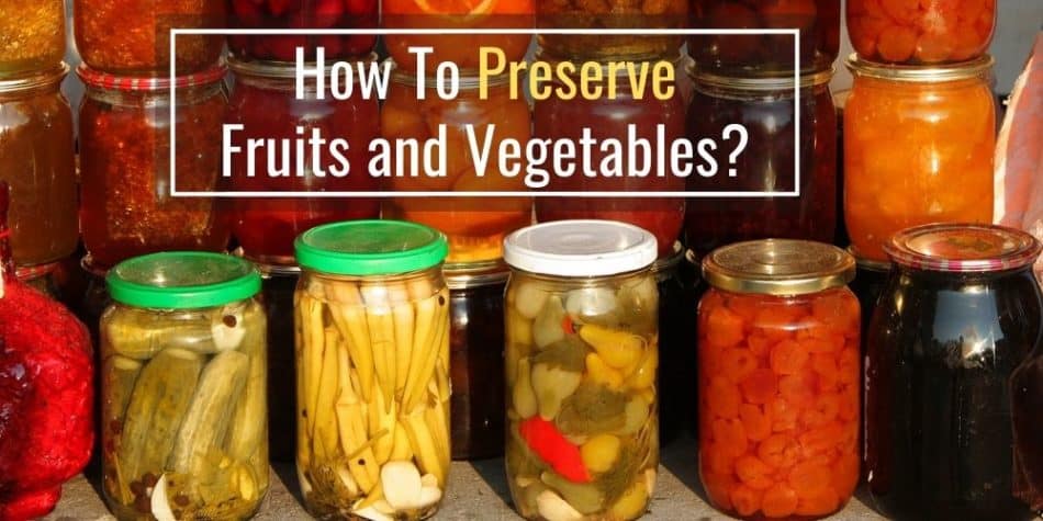How To Preserve Fruits and Vegetables