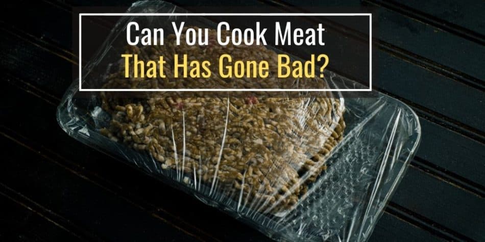 Can You Cook Meat That Has Gone Bad