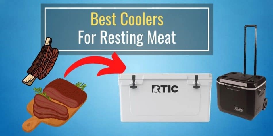 Best Coolers For Resting Meat