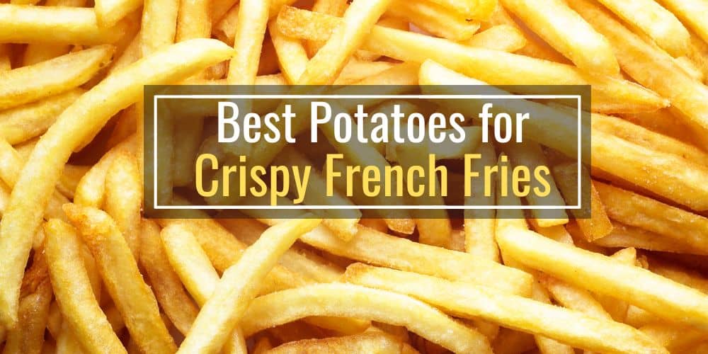 Best Potatoes for Cripsy French Fries